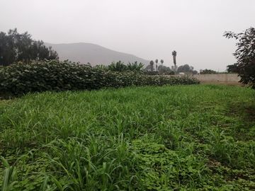 Terreno en Venta, 5,763 m2, con Pozo Subterráneo Propio en Pachacamac