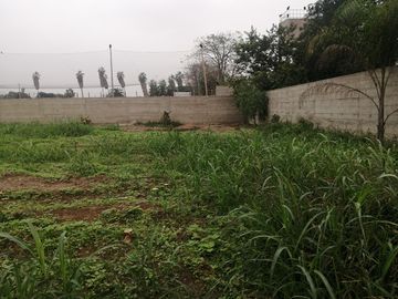 Terreno en Venta, 5,763 m2, con Pozo Subterráneo Propio en Pachacamac