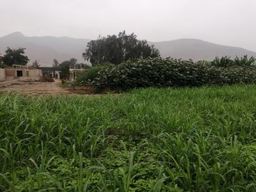 Terreno en Venta, 5,763 m2, con Pozo Subterráneo Propio en Pachacamac