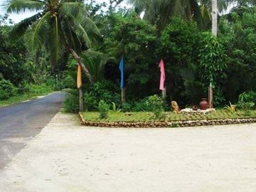 Resale Title Beach View corner lot 1,140 sqm located in Calicoan Ocean Villas, Guiuan, Samar