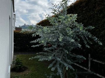 VENTA DE CASA DE 146 M2 EN CONJUNTO CERRADO EN LA FLORIDA MANIZALES CALDAS