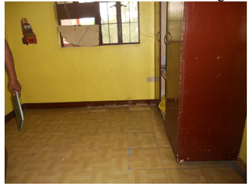 OK for Bank Financing - House & Lot for Sale in SAPPHIRE HOMES Plaridel Bulacan : FORECLOSED