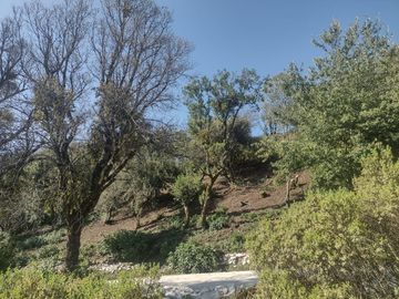 LINDO TERRENO EN SANTA ROSALIA A 10 MIN. DE MINERAL DEL MONTE ZONA BOSCOSA $950 M2
