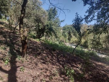 LINDO TERRENO EN SANTA ROSALIA A 10 MIN. DE MINERAL DEL MONTE ZONA BOSCOSA $950 M2