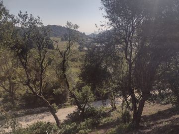 LINDO TERRENO EN SANTA ROSALIA A 10 MIN. DE MINERAL DEL MONTE ZONA BOSCOSA $950 M2
