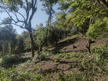 LINDO TERRENO EN SANTA ROSALIA A 10 MIN. DE MINERAL DEL MONTE ZONA BOSCOSA $950 M2