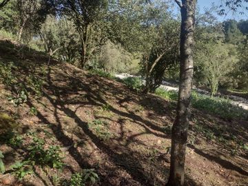 LINDO TERRENO EN SANTA ROSALIA A 10 MIN. DE MINERAL DEL MONTE ZONA BOSCOSA $950 M2