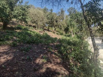 LINDO TERRENO EN SANTA ROSALIA A 10 MIN. DE MINERAL DEL MONTE ZONA BOSCOSA $950 M2