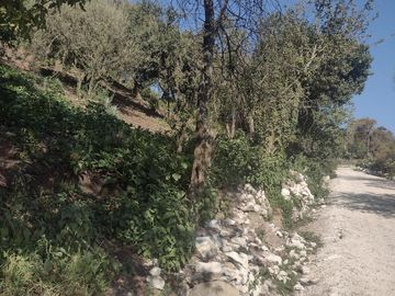 LINDO TERRENO EN SANTA ROSALIA A 10 MIN. DE MINERAL DEL MONTE ZONA BOSCOSA $950 M2