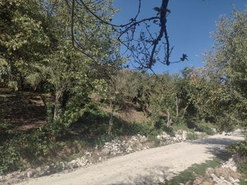 LINDO TERRENO EN SANTA ROSALIA A 10 MIN. DE MINERAL DEL MONTE ZONA BOSCOSA $950 M2