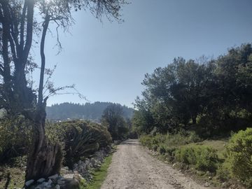 LINDO TERRENO EN SANTA ROSALIA A 10 MIN. DE MINERAL DEL MONTE ZONA BOSCOSA $950 M2