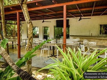 Villa de lujo en comunidad privada, pre-construcción, Selvamar, Playa del Carmen