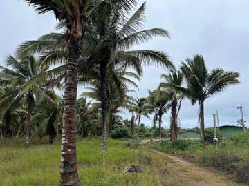 terreno de venta en puerto cayo frente al mar