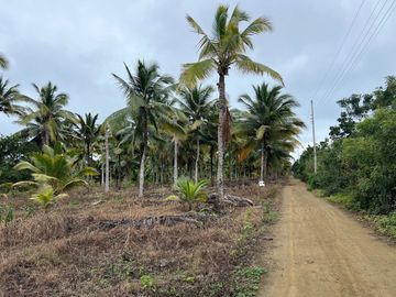 terreno de venta en puerto cayo frente al mar