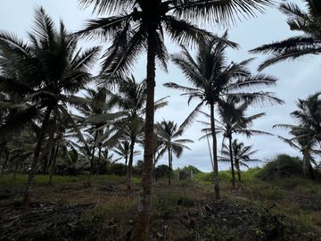 terreno de venta en puerto cayo frente al mar