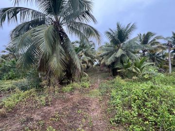 terreno de venta en puerto cayo frente al mar
