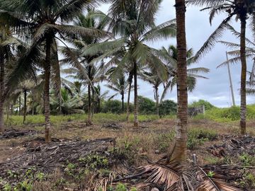 terreno de venta en puerto cayo frente al mar