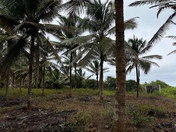 terreno de venta en puerto cayo frente al mar