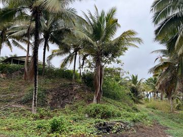 terreno de venta en puerto cayo frente al mar