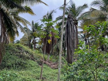 terreno de venta en puerto cayo frente al mar