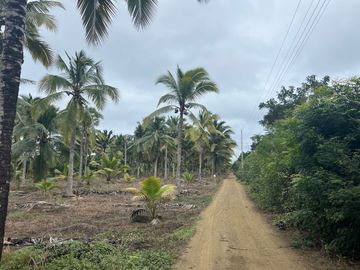 terreno de venta en puerto cayo frente al mar