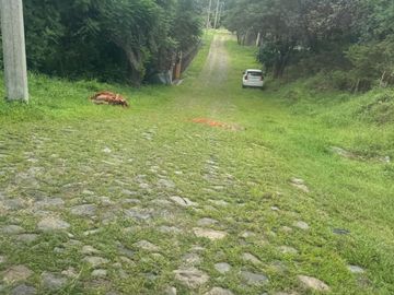 Terreno en venta en fraccionamiento el Roble