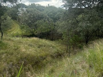 Terreno en venta en fraccionamiento el Roble