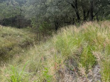 Terreno en venta en fraccionamiento el Roble