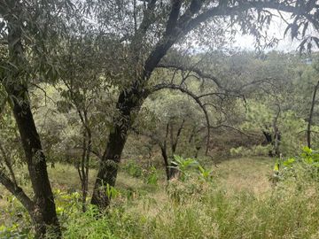 Terreno en venta en fraccionamiento el Roble