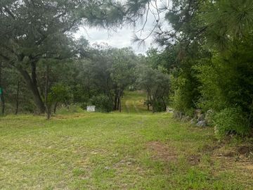 Terreno en venta en fraccionamiento el Roble