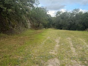 Terreno en venta en fraccionamiento el Roble