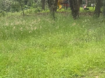Terreno en venta en fraccionamiento el Roble