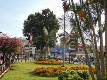 Alquiler Local Comercial 150m2 a espalda de Plaza Mayor de Puente Piedra