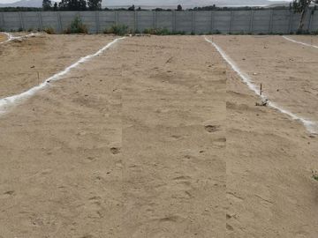 TERRENO CAMPESTRE EN CONDOMINIO CAMPOS VERDE  HUACHO