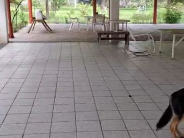 Quinta en Venta en Bosques de la Silla en Juárez, N.L.