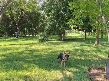 Quinta en Venta en Bosques de la Silla en Juárez, N.L.
