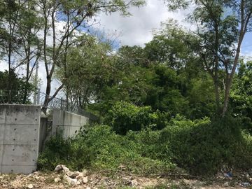 Terreno en venta en Dzitya Mérida