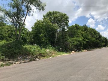 Terreno en venta en Dzitya Mérida