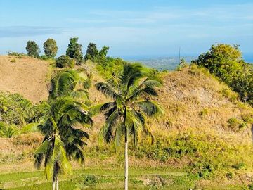 FOR SALE‼️ - HIGHLAND PROPERTY IN SIQUIJOR WITH AN AMAZING VIEW OF LAZI BAY AND MINDANAO
