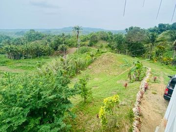FOR SALE‼️ - HIGHLAND PROPERTY IN SIQUIJOR WITH AN AMAZING VIEW OF LAZI BAY AND MINDANAO