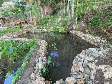FOR SALE‼️ - HIGHLAND PROPERTY IN SIQUIJOR WITH AN AMAZING VIEW OF LAZI BAY AND MINDANAO