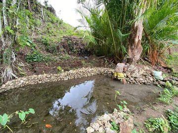 FOR SALE‼️ - HIGHLAND PROPERTY IN SIQUIJOR WITH AN AMAZING VIEW OF LAZI BAY AND MINDANAO