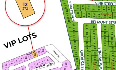 Lot for Sale Assume Balance and Payment Term in Alabang West Village Las Pinas