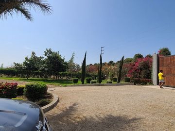 ¡Oportunidad! Venta de Finca de 50,000 m² en Chincha Baja, ideal para proyectos de inversión o desarrollo agrícola.