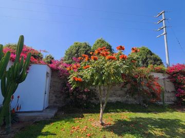 ¡Oportunidad! Venta de Finca de 50,000 m² en Chincha Baja, ideal para proyectos de inversión o desarrollo agrícola.