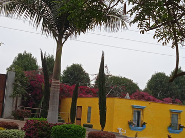 ¡Oportunidad! Venta de Finca de 50,000 m² en Chincha Baja, ideal para proyectos de inversión o desarrollo agrícola.