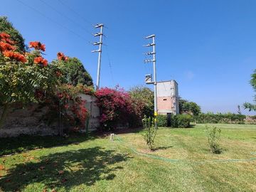 ¡Oportunidad! Venta de Finca de 50,000 m² en Chincha Baja, ideal para proyectos de inversión o desarrollo agrícola.