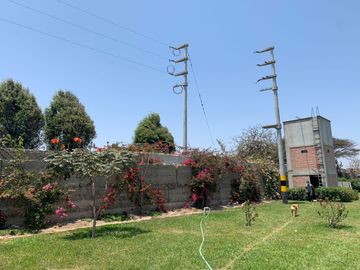 ¡Oportunidad! Venta de Finca de 50,000 m² en Chincha Baja, ideal para proyectos de inversión o desarrollo agrícola.
