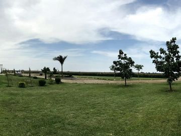 ¡Oportunidad! Venta de Finca de 50,000 m² en Chincha Baja, ideal para proyectos de inversión o desarrollo agrícola.