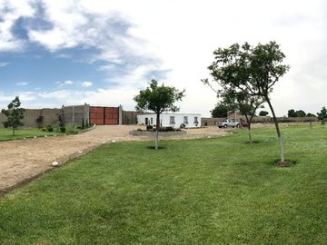 ¡Oportunidad! Venta de Finca de 50,000 m² en Chincha Baja, ideal para proyectos de inversión o desarrollo agrícola.